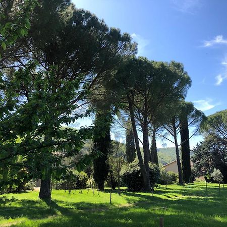 Gite Des Pins Saint-Maurice-dʼIbie المظهر الخارجي الصورة