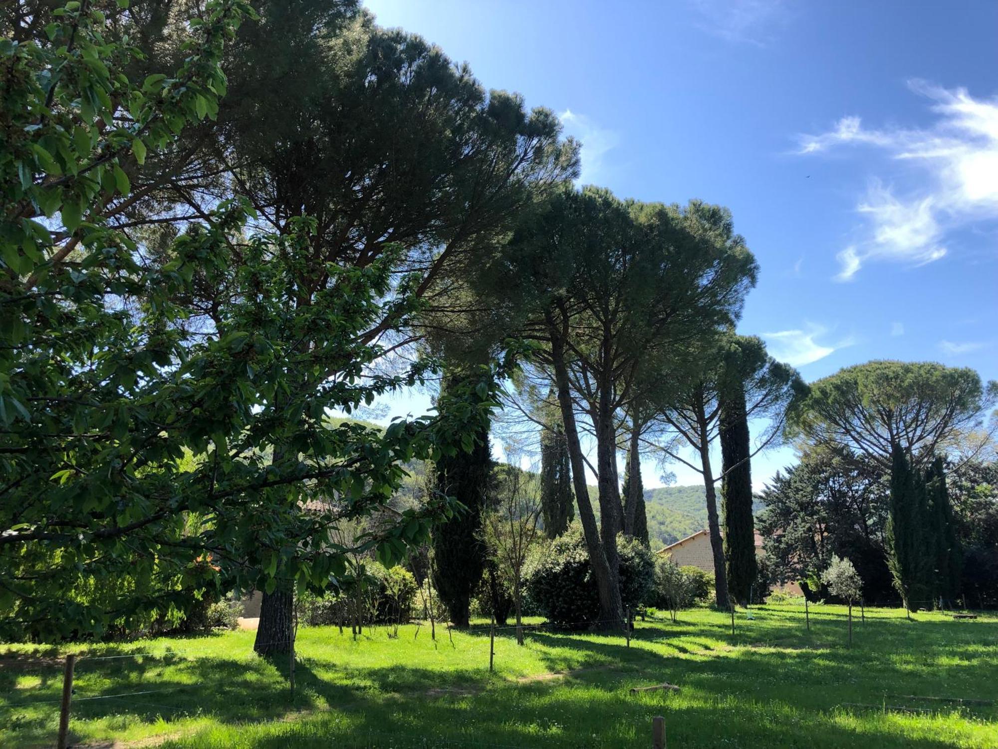Gite Des Pins Saint-Maurice-dʼIbie المظهر الخارجي الصورة