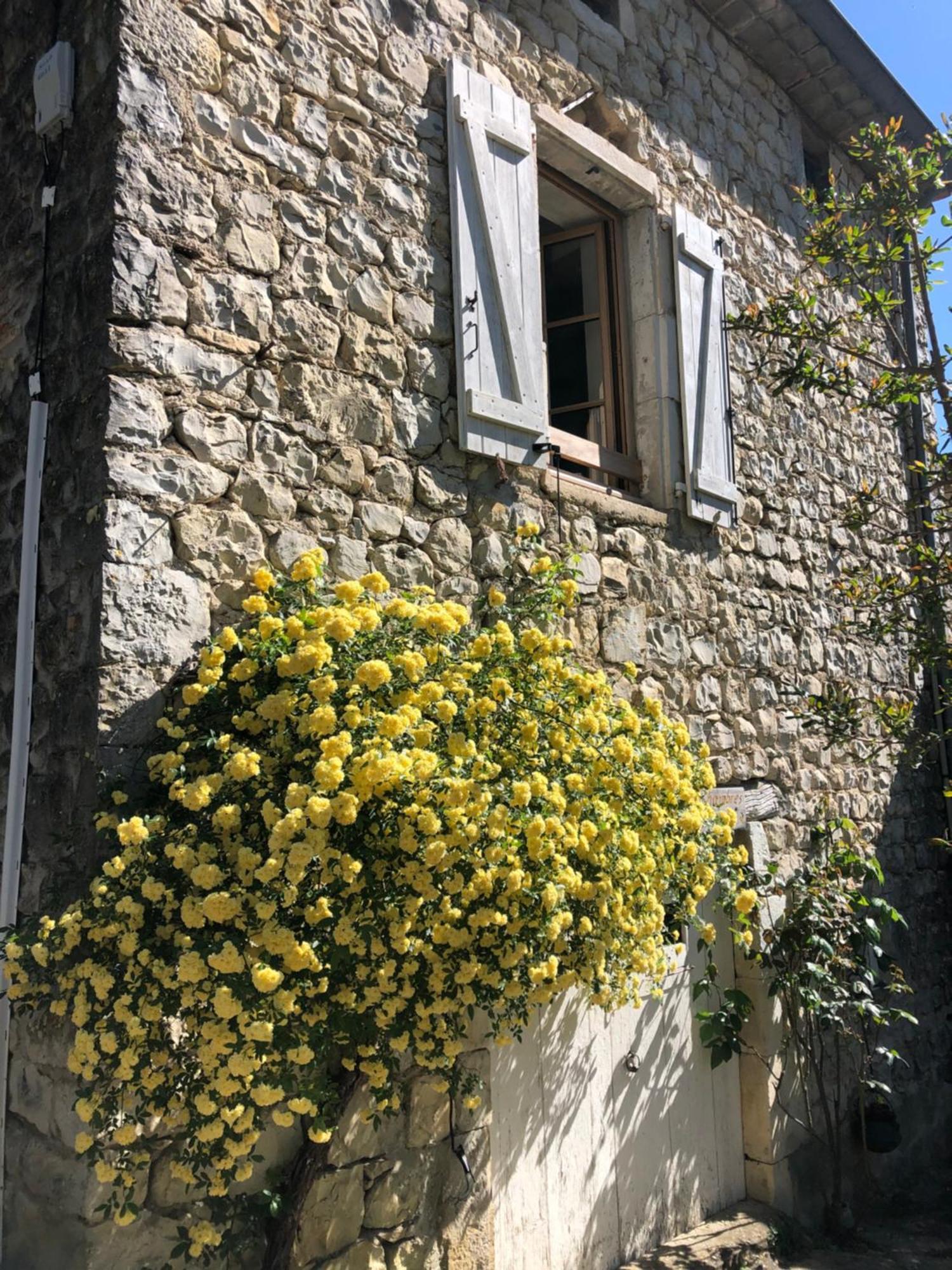 Gite Des Pins Saint-Maurice-dʼIbie المظهر الخارجي الصورة